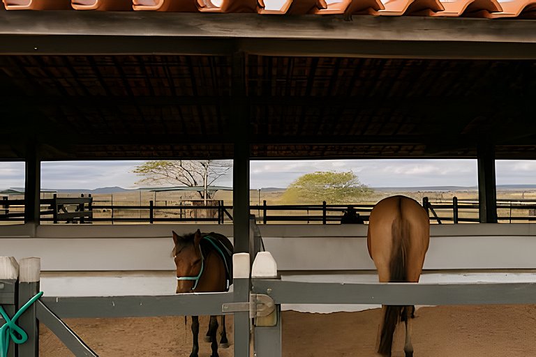 Flat de luxo no Monte Castelo - by Haus